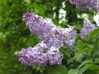 Similar image 21141896