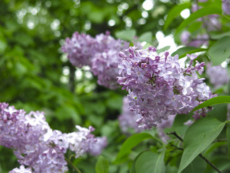 Similar image 21141897