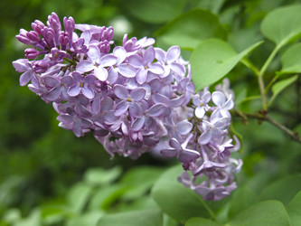 Similar image 21141898