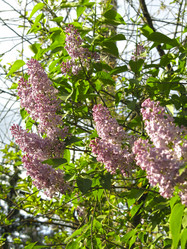 Similar image 21141900