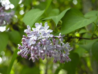 Similar image 21141901