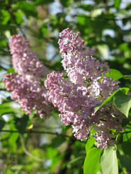 Similar image 21141902