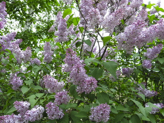 Similar image 21141903