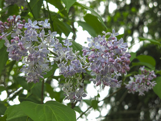 Similar image 21141905