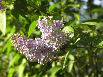 Similar image 21141906