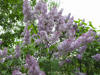 Similar image 21141907