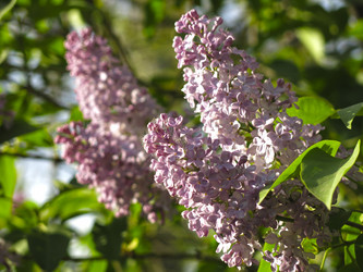 Similar image 21141908