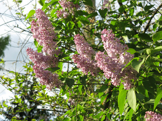 Similar image 21141909