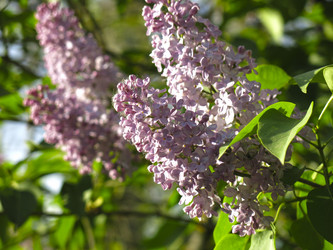 Similar image 21141910