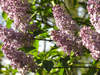 Similar image 21141911