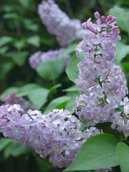 Similar image 21141912