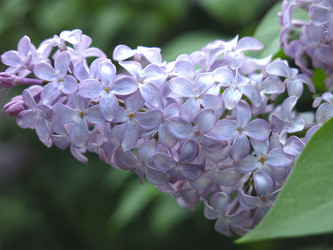 Similar image 21141913