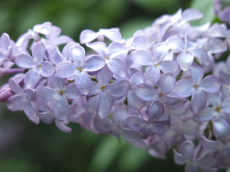 Similar image 21141914