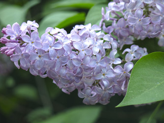 Similar image 21141916