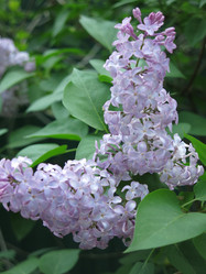 Similar image 21141917