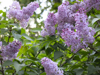 Similar image 21141918