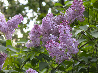 Similar image 21141919