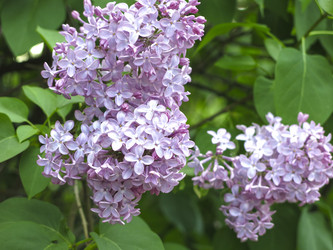 Similar image 21141920