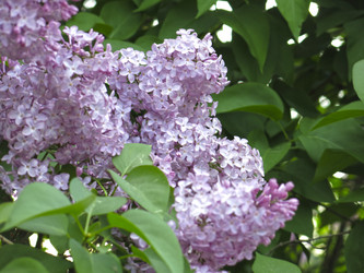 Similar image 21141921