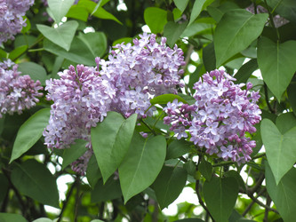 Similar image 21141922