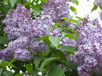 Similar image 21141923