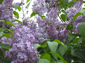 Similar image 21141924