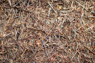 Similar image 21147013