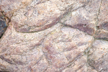 Similar image 21147019