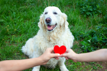 Similar image 21147032