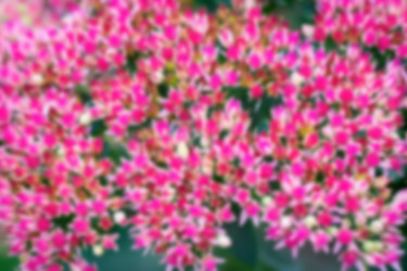 Similar image 21147033