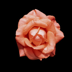 Similar image 21139651