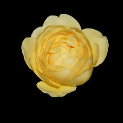 Similar image 21139654