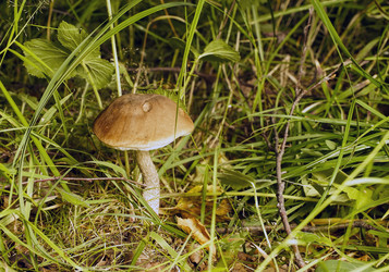 Similar image 21139657