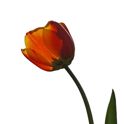 Similar image 21139658