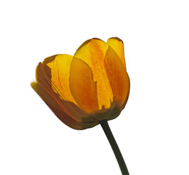 Similar image 21140821