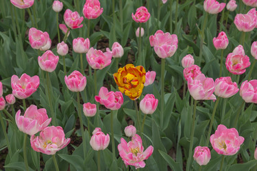 Similar image 21140822