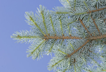 Similar image 21140824