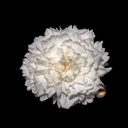 Similar image 21140826