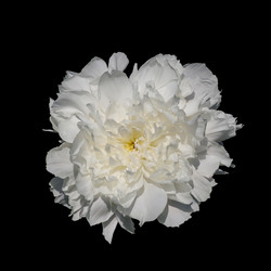 Similar image 21140827