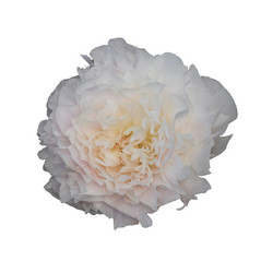 Similar image 21140828