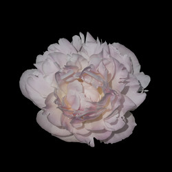 Similar image 21140830