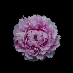 Similar image 21140831