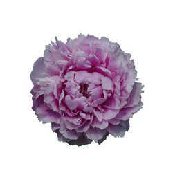 Similar image 21140832