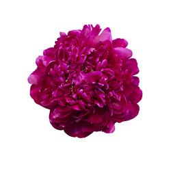 Similar image 21140833