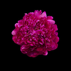 Similar image 21140834