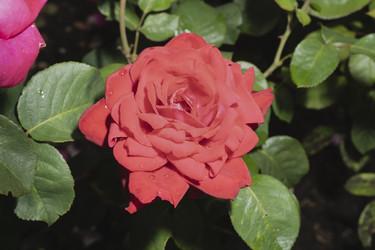 Similar image 21140838