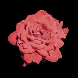 Similar image 21140840