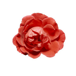 Similar image 21140841