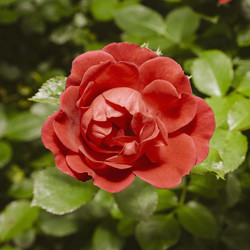 Similar image 21140842