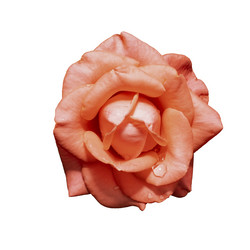 Similar image 21140844